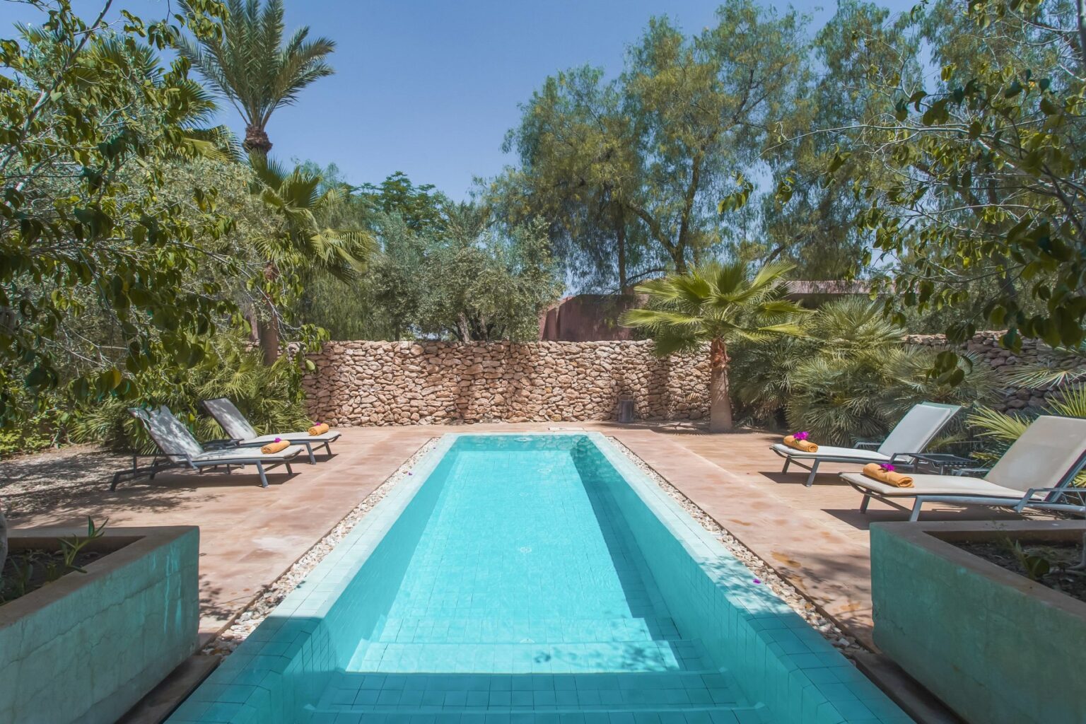 Piscina de Villa Savannah entre tumbonas y vegetación