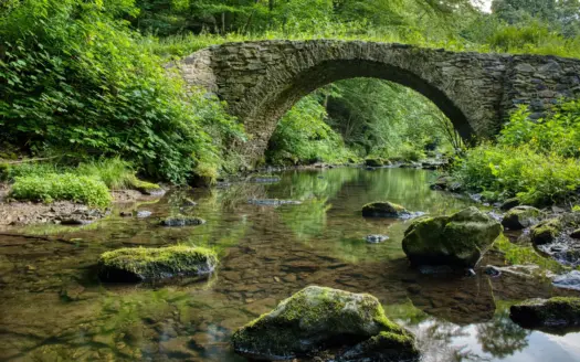 Puente de piedra reflejado en un arroyo rodeado de vegetación