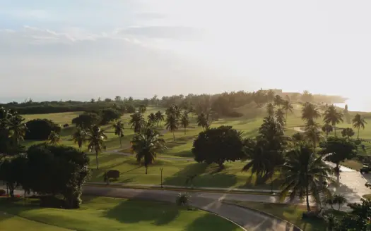 Vista aérea de un campo de golf con palmeras al amanecer