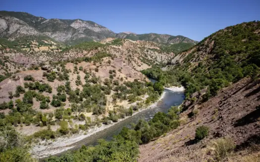 Río de montaña entre vegetación frondosa
