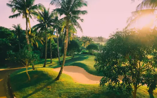 Campo de golf con palmeras y búnkeres de arena bajo un sol cálido