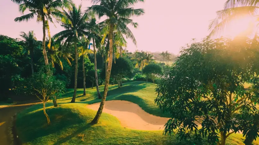 Campo de golf con palmeras y búnkeres de arena bajo un sol cálido