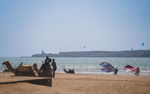 Kitesurf en la playa de Essaouira, con camellos en la arena