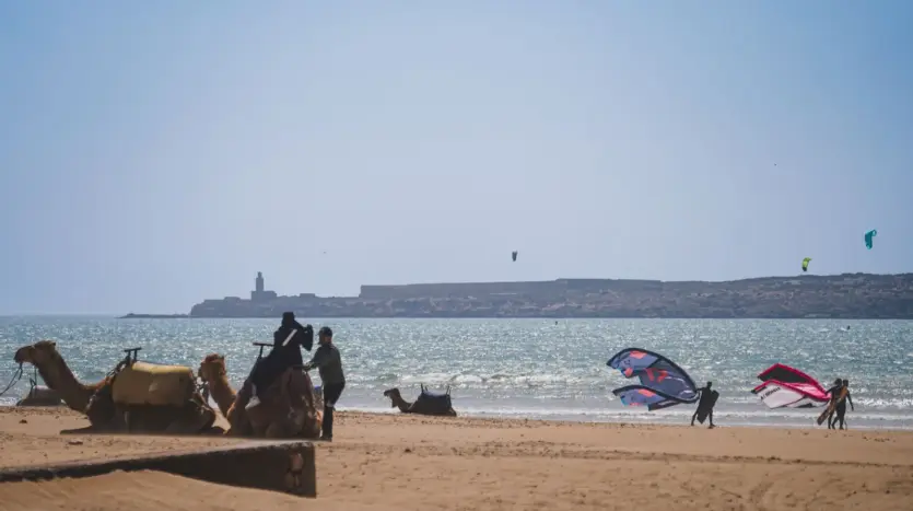 Kitesurf en la playa de Essaouira, con camellos en la arena
