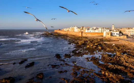 Vista aérea de la costa rocosa de Essaouira, en Marruecos, con gaviotas