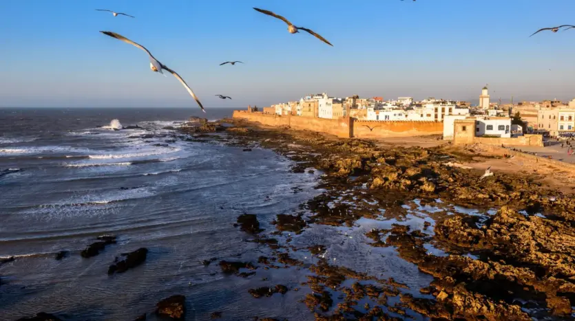 Vista aérea de la costa rocosa de Essaouira, en Marruecos, con gaviotas