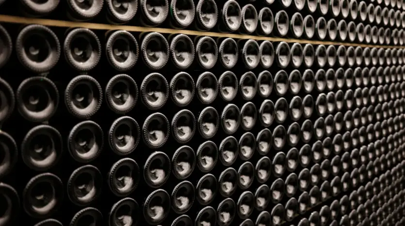 Hileras de botellas de vino apiladas de lado en una bodega