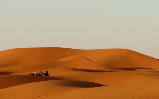 Caravana de camellos cruzando dunas anaranjadas del Sáhara