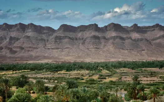 Oasis de palmeras al pie de montañas áridas cerca de Zagora