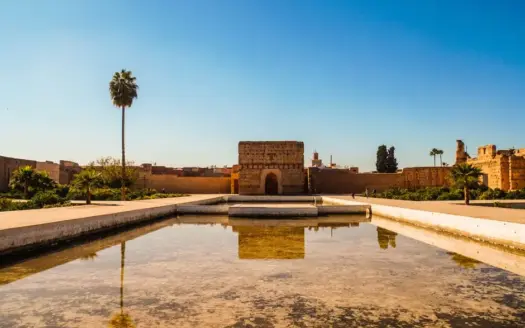 Jardines de la Menara, Marrakech: visita al olivar real