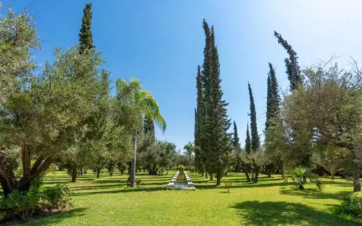 Césped entre olivos y cipreses en el jardín del Palais Mauresque