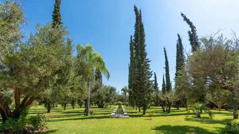 Césped entre olivos y cipreses en el jardín del Palais Mauresque